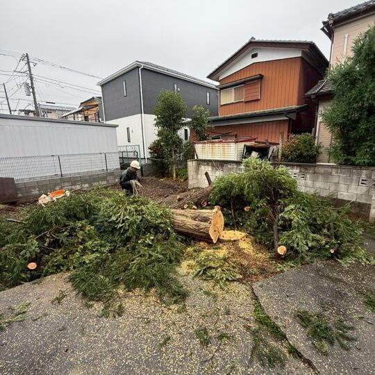 画像1509：解体