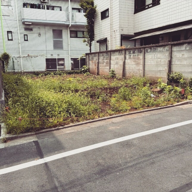 解体のプロフェッショナルが解説💡